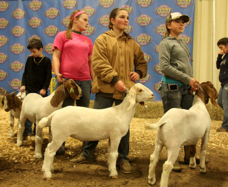 Coryell County Youth Fair